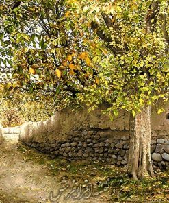 نخ ونقشه طرح کوچه باغ گردو