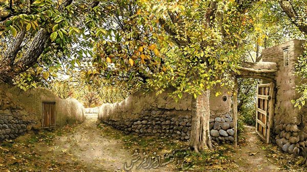 نخ ونقشه طرح کوچه باغ گردو