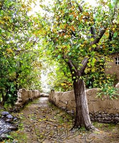 نخ و نقشه تابلوفرش منظره کوچه باغ تبریز