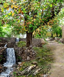 نخ و نقشه کامپیوتری تابلوفرش کوچه باغ سردرود