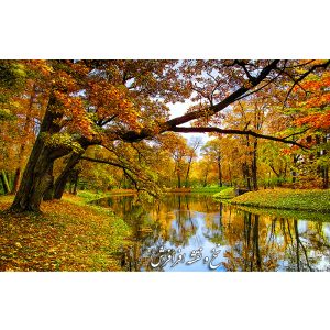 نخ و نقشه تابلوفرش تک درخت پاییزی جدید