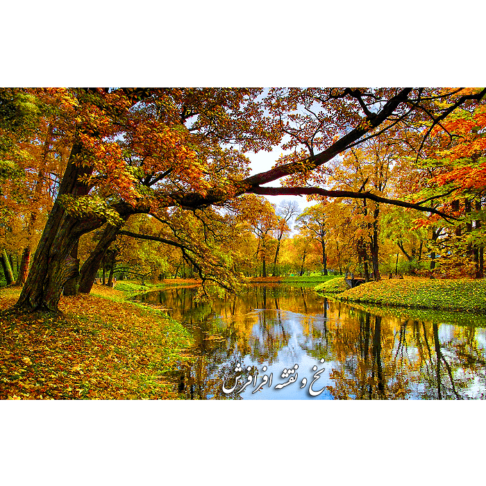 نخ و نقشه تابلوفرش تک درخت پاییزی جدید