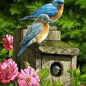 نخ و نقشه تابلو فرش طرح نغمه پرندگان