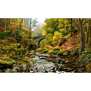 نخ و نقشه تابلوفرش دستبافت منظره جنگل جدید