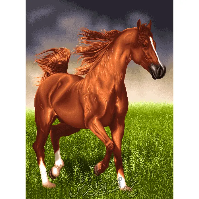 نخ و نقشه تابلو فرش اسب قهوه ای