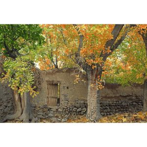 نخ و نقشه تابلوفرش کوچه باغ گردو