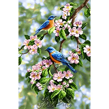 نخ و نقشه تابلوفرش دو پرنده